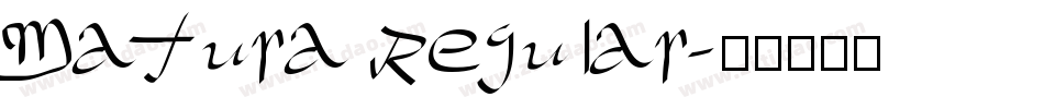 Matura Regular字体转换